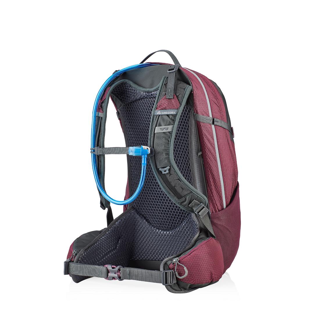 Women Gregory Juno 24 H2O Hiking Backpack Purple Sale Usa XFPQ67245